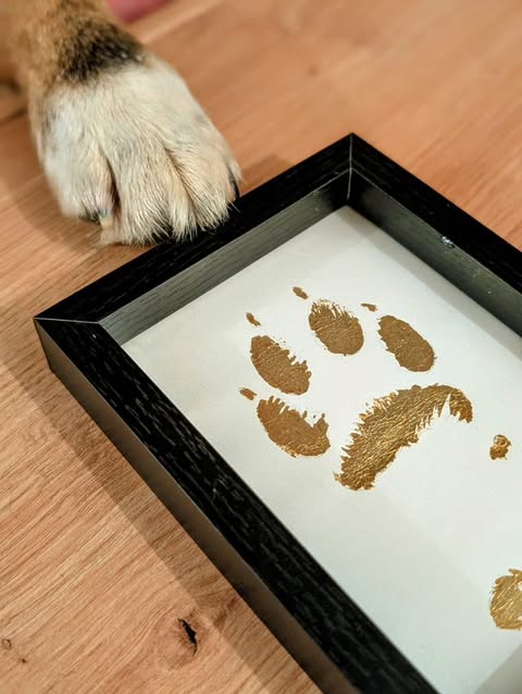 UNIDOG - Atelier Empreintes Canines sur Feuille d’Or